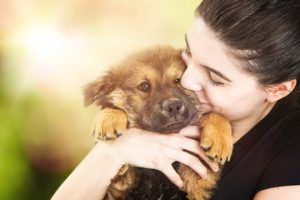 Owning a pet health benefits 