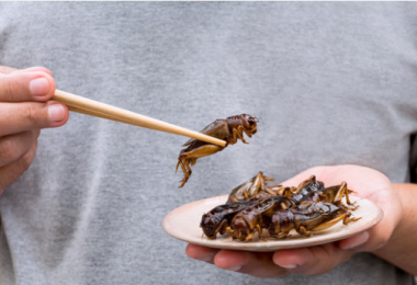 Edible Insects And Their Health Benefits