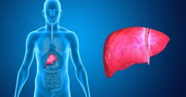 Health Tips for A Healthy Liver