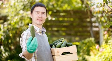 Cucumber benefits for men