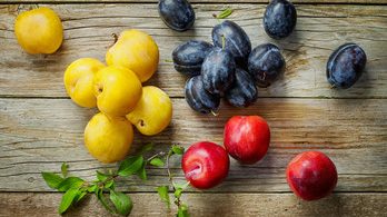 Health benefits of Nigerian plum