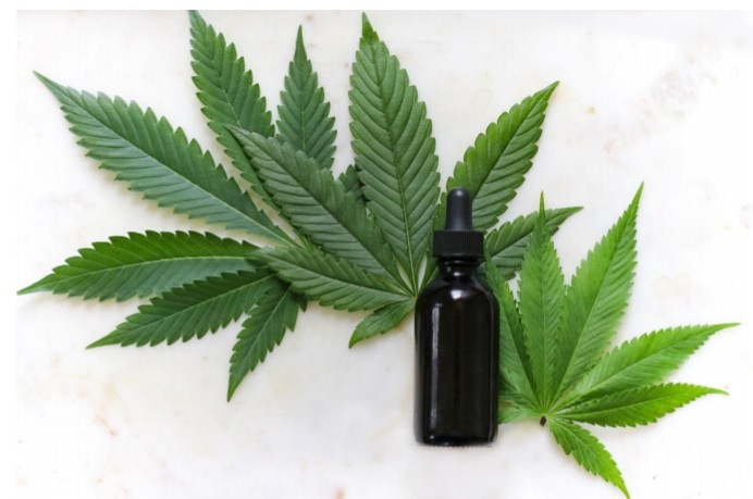 Unknown Facts About CBD Oil That You Should Know