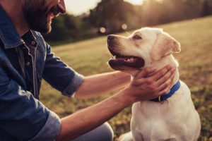 Ways Pet Improve Your Health 