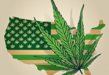 Passing A Hair Follicle Drug Test For Weed And Marijuana