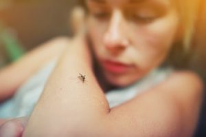 Tips for US and European Travelers on Avoiding Malaria