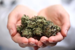 Find a Medical Marijuana Dispensary
