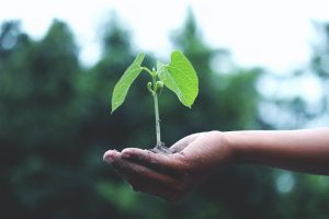 Positive Gardening effects on mental health