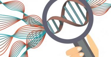 All You Need to Know About Genetic Testing