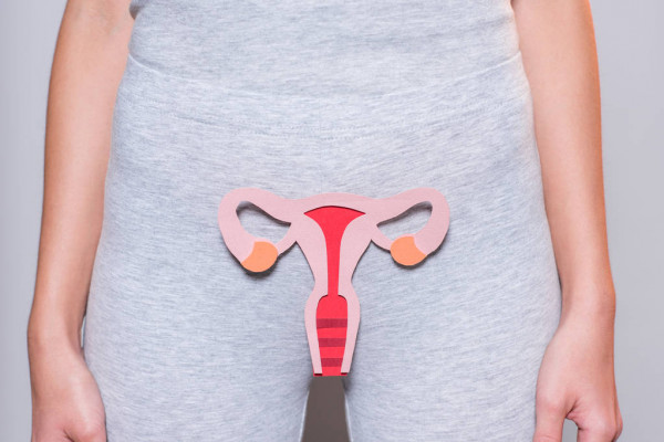 Health Tips for the Female Reproductive System