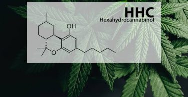 The Difference between HHC And THC & Their Benefits