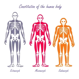 How Much Do You Know About The Amazing Human Body? – You Must Get Healthy