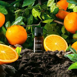 uses for sweet orange essential oil
