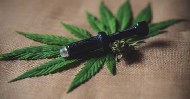 What Are The Best CBD Oils?